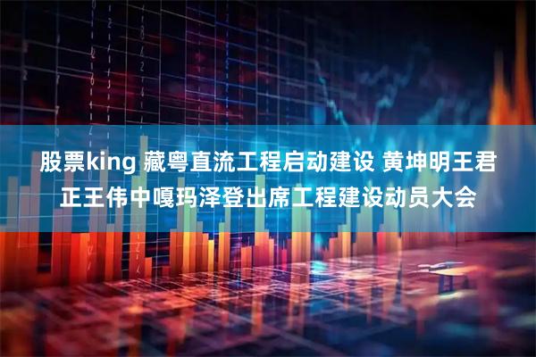 股票king 藏粤直流工程启动建设 黄坤明王君正王伟中嘎玛泽登出席工程建设动员大会