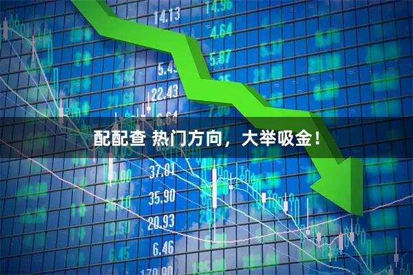 配配查 热门方向，大举吸金！