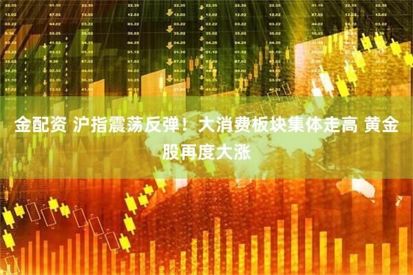 金配资 沪指震荡反弹！大消费板块集体走高 黄金股再度大涨