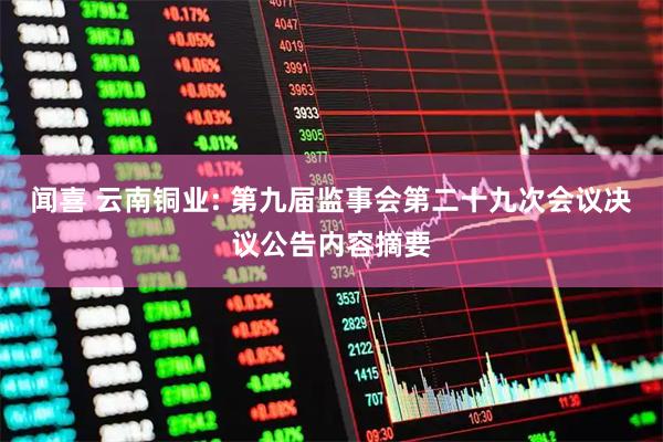 闻喜 云南铜业: 第九届监事会第二十九次会议决议公告内容摘要