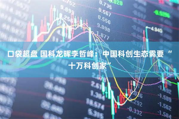 口袋超盘 国科龙晖李哲峰：中国科创生态需要 “十万科创家”