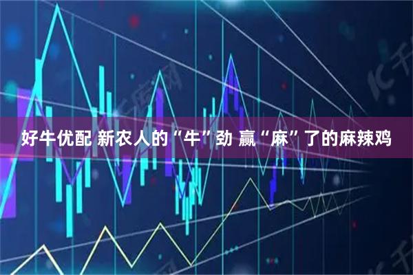 好牛优配 新农人的“牛”劲 赢“麻”了的麻辣鸡