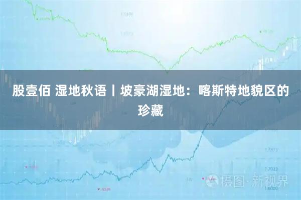 股壹佰 湿地秋语丨坡豪湖湿地：喀斯特地貌区的珍藏