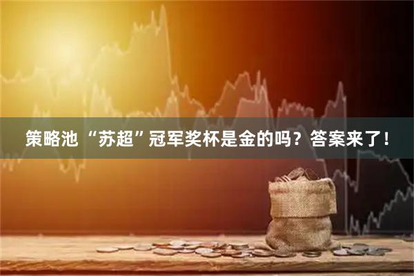 策略池 “苏超”冠军奖杯是金的吗?答案来了!