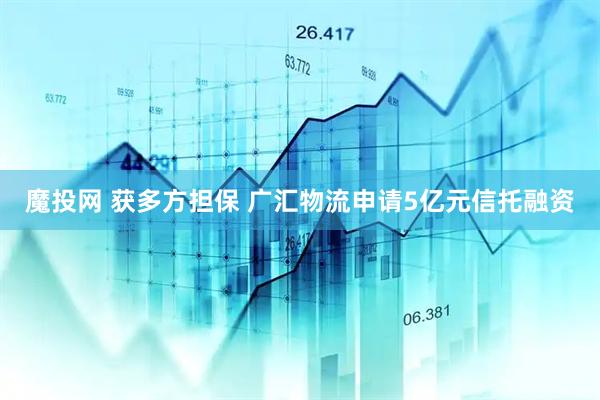 魔投网 获多方担保 广汇物流申请5亿元信托融资