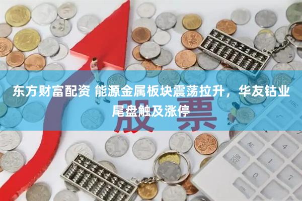 东方财富配资 能源金属板块震荡拉升，华友钴业尾盘触及涨停