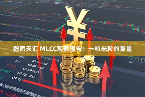 毅鸣天汇 MLCC观察报告：一粒米粒的重量